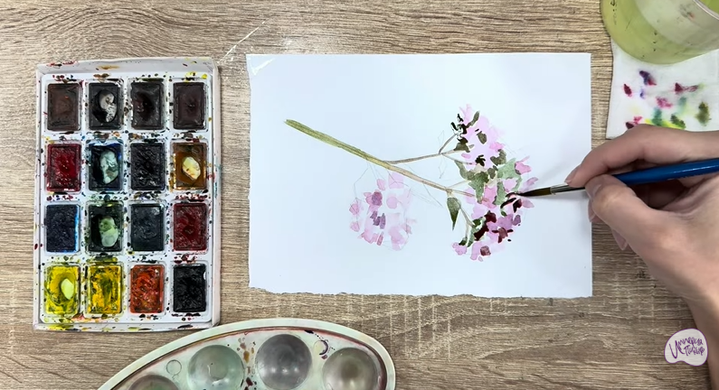 Рисуем Душица