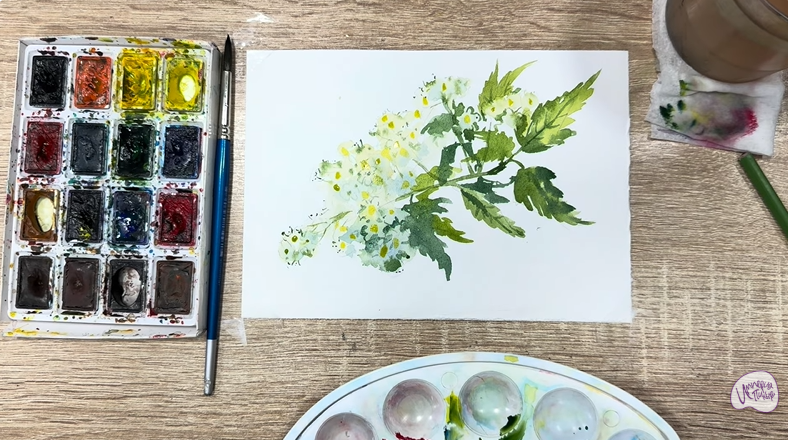 Рисуем Таволга