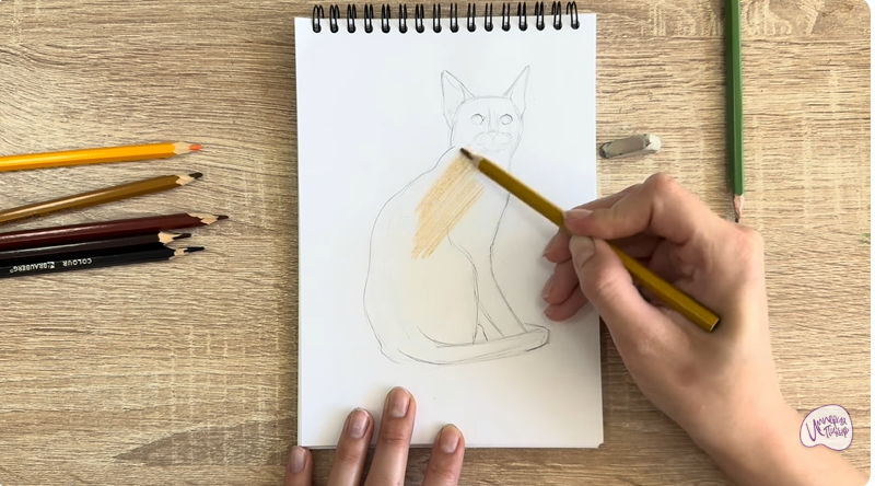 Рисуем Кошка Тойгер