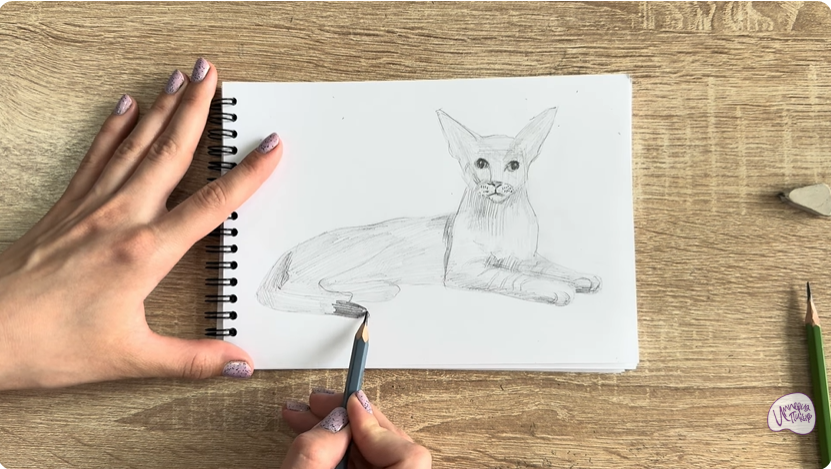 Рисуем Ориентальная кошка