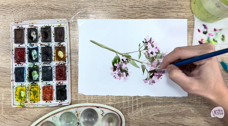 Рисуем Душица