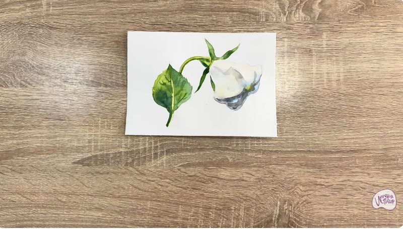 Рисуем Дурман Рисуем Дурман