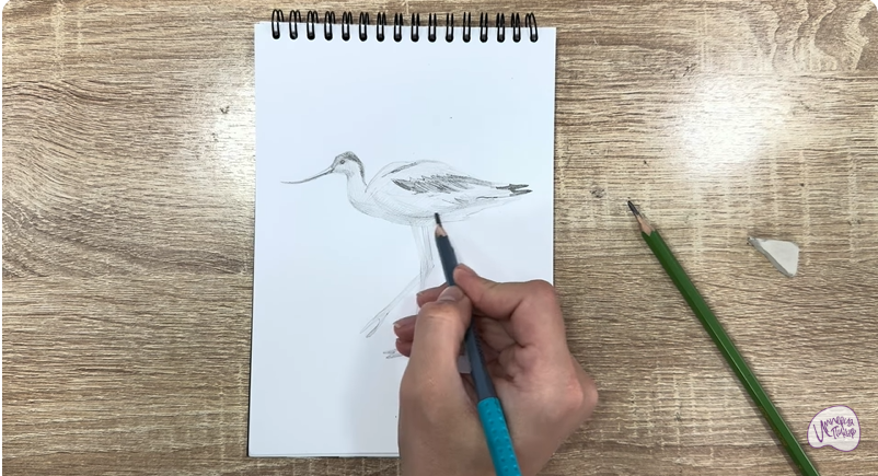 Рисуем Шилоклювка