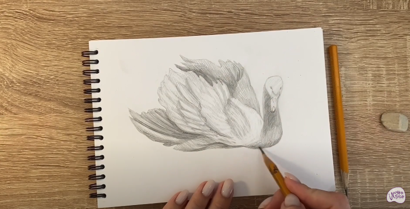 Рисуем Лебедь
