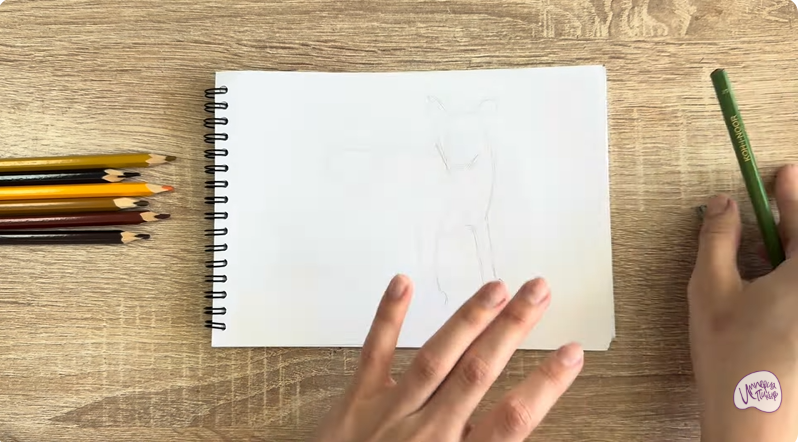 Рисуем Кот породы Оцикет