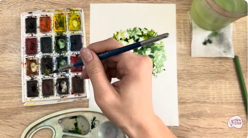 Рисуем Саженец бирючины