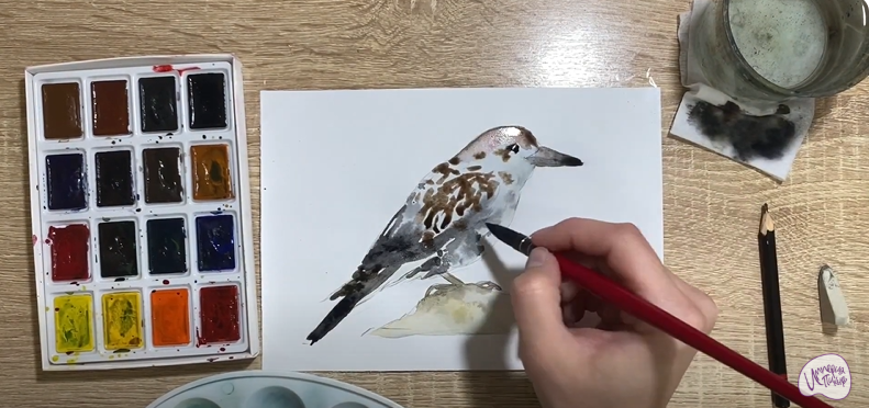 Рисуем Кедровка