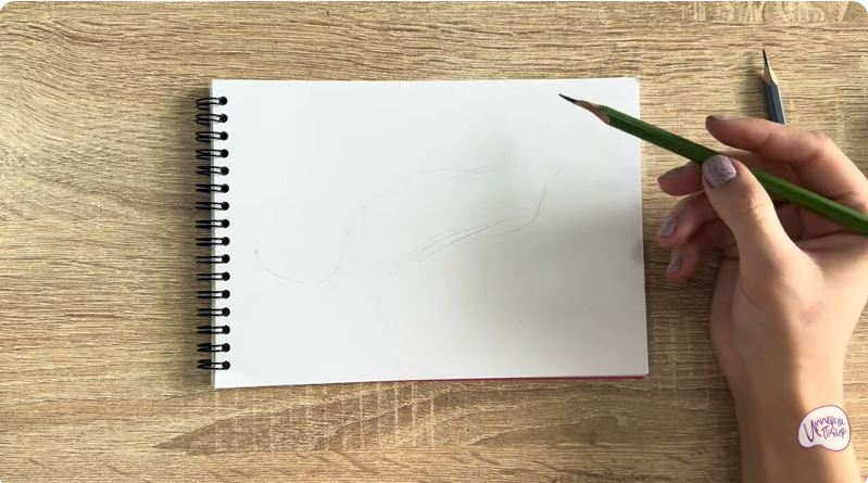 Рисуем Бомбейская кошка