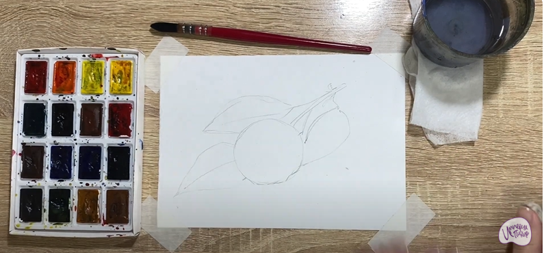 Рисуем Личи