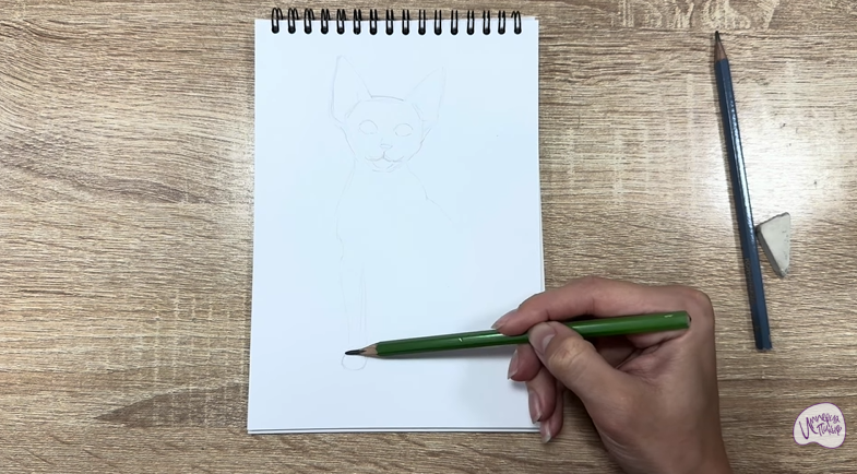 Рисуем Девон Рекс