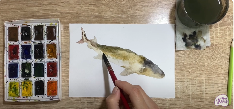 Рисуем Стерлядь