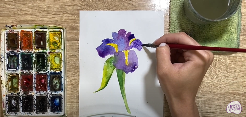 Рисуем Ирис
