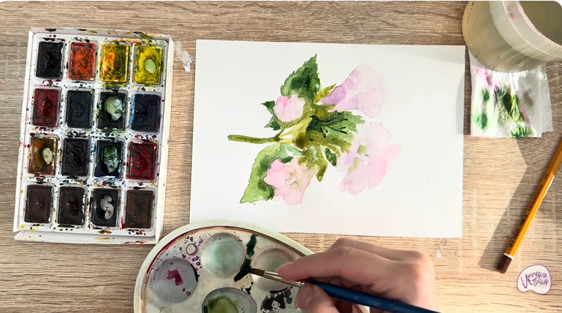 Рисуем Алтей лекарственный