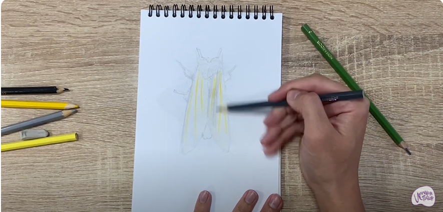 Рисуем Хохлатка
