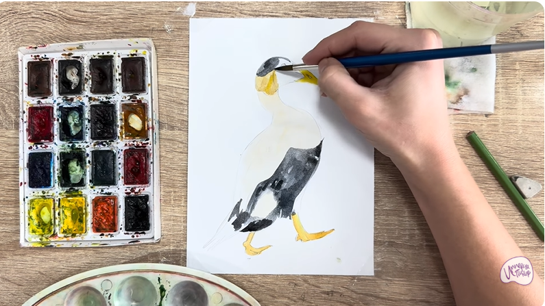 Рисуем Обыкновенная гага