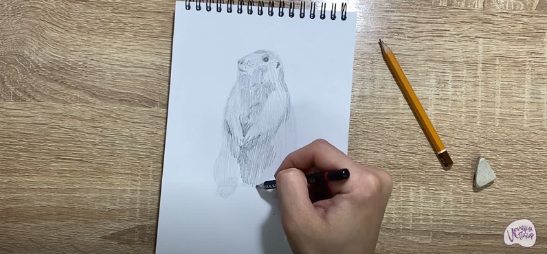 Рисуем Суслик