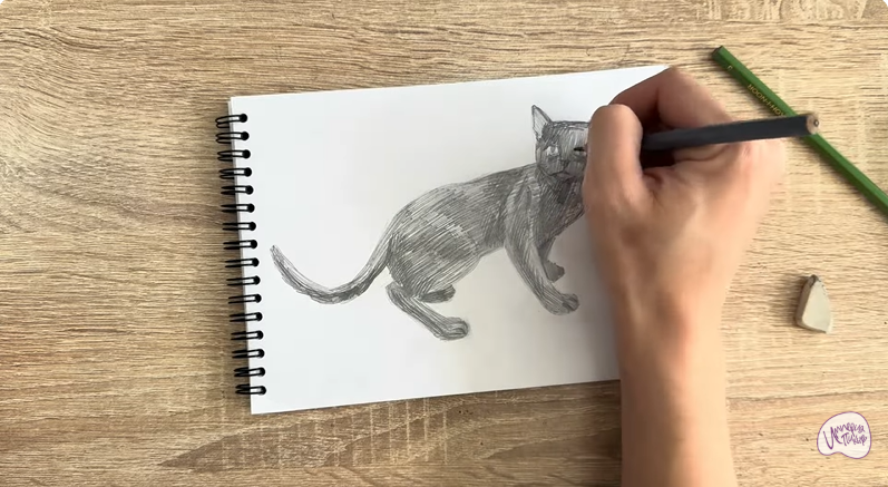 Рисуем Бомбейская кошка