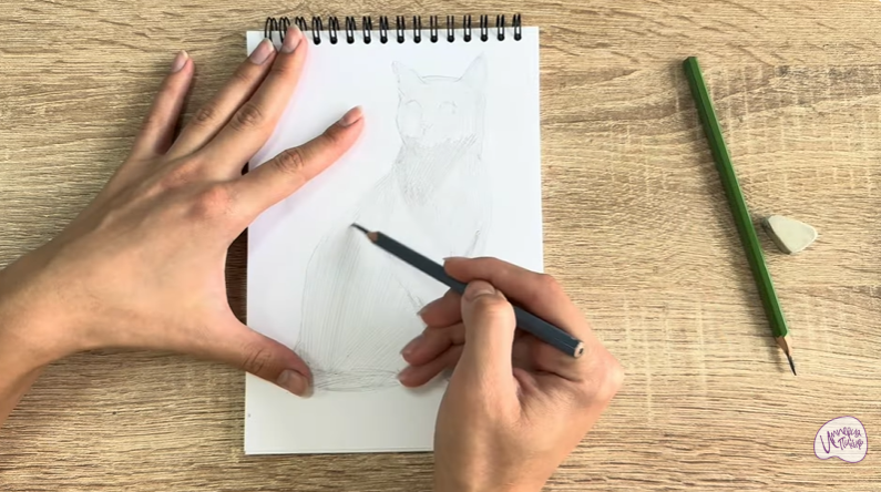 Рисуем Бурманский кот