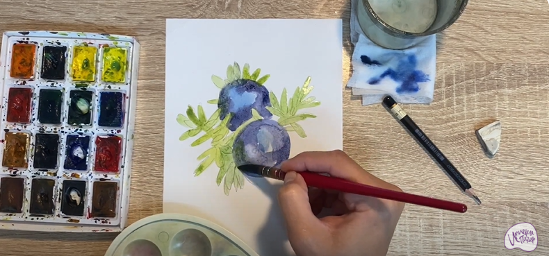 Рисуем Водяника чёрная