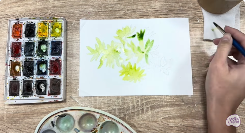 Рисуем Очиток