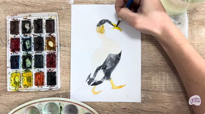 Рисуем Обыкновенная гага