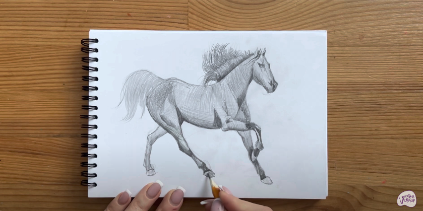 Рисуем Лошадь