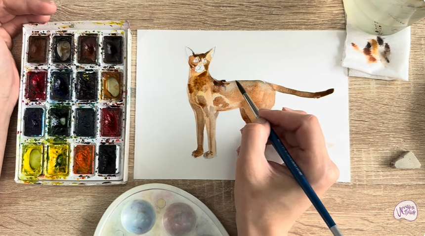 Рисуем Кошка "Чаузи"