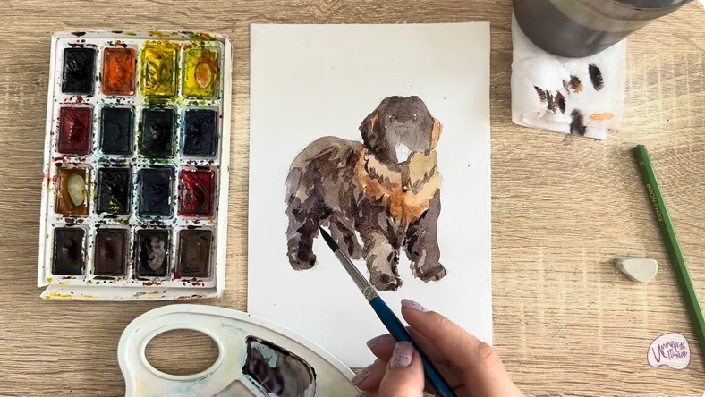 Рисуем Собака породы Ньюфаундленд