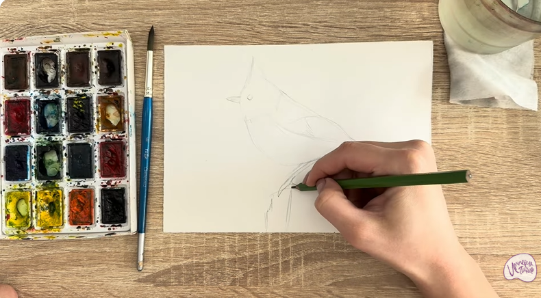 Рисуем Хохлатая синица