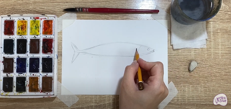 Рисуем Скумбрия