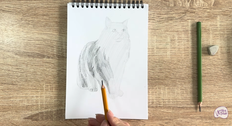 Рисуем Норвежский лесной кот