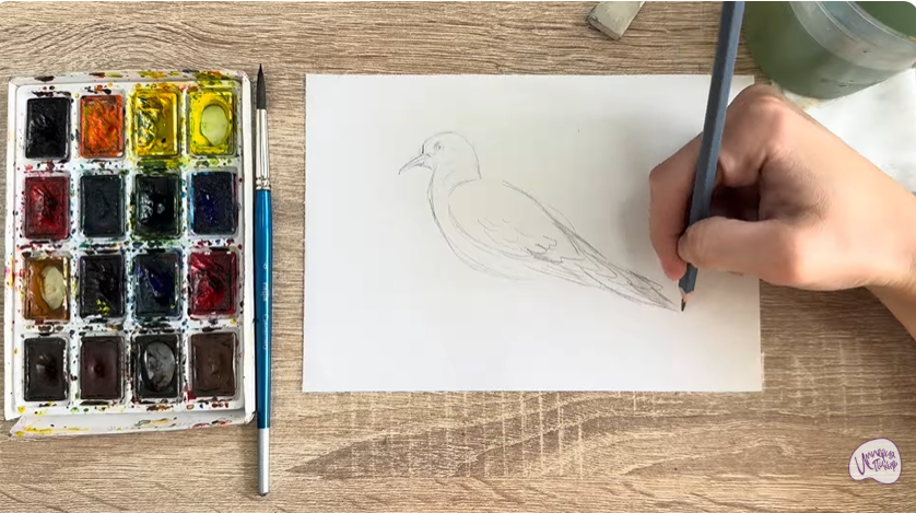 Рисуем Горлица