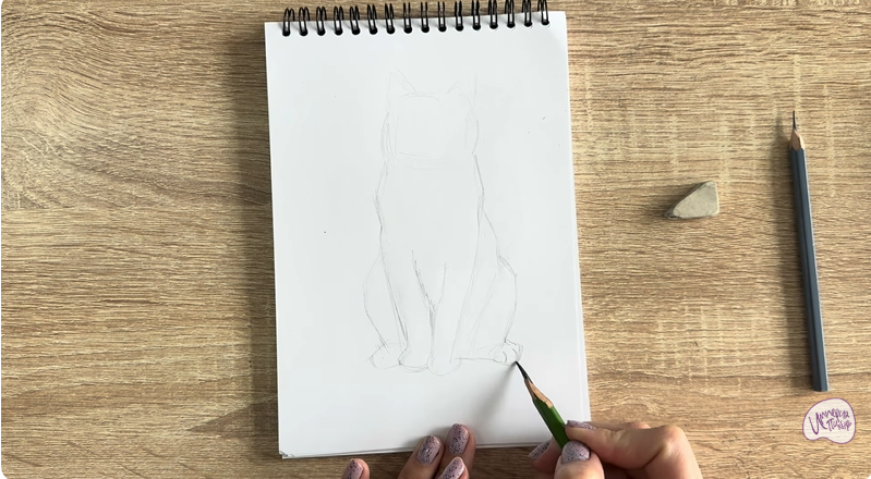 Рисуем Кот породы Шартрез