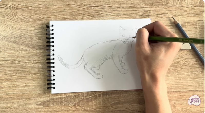 Рисуем Бомбейская кошка