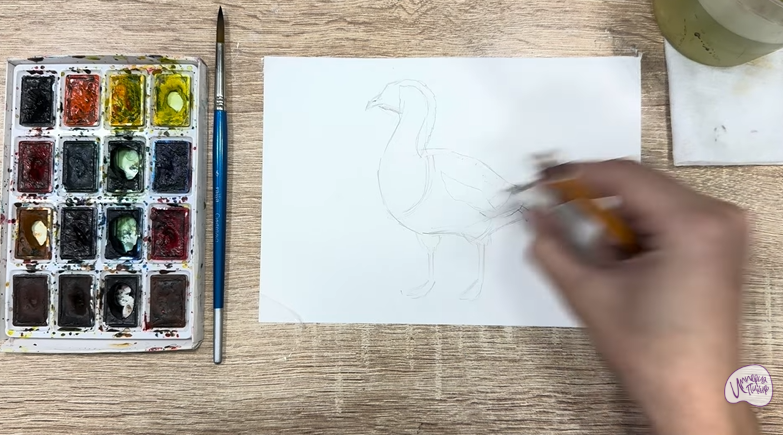 Рисуем Краснозобая казарка