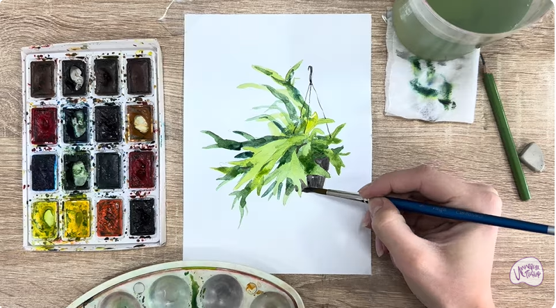 Рисуем Платицериум в горшке