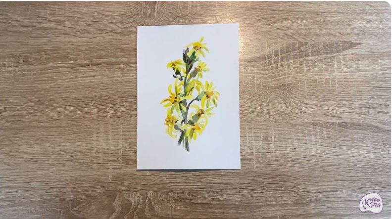 Рисуем Бузульник сибирский