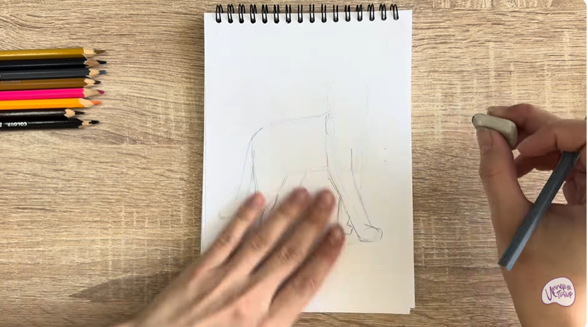 Рисуем Кошка Бурмилла
