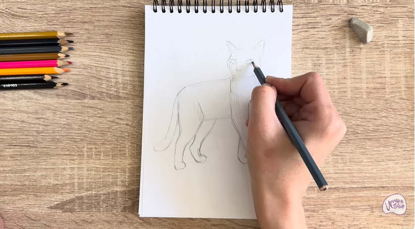 Рисуем Кошка Бурмилла