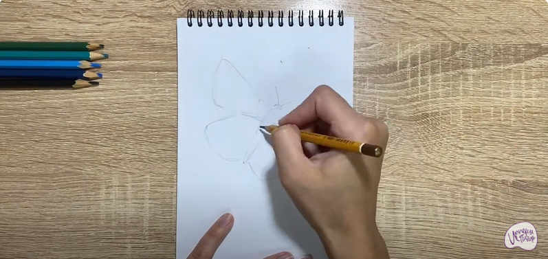 Рисуем Бабочка "Голубянка"