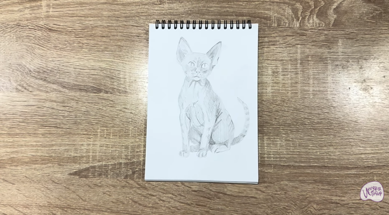 Рисуем Девон Рекс