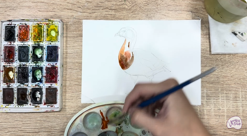 Рисуем Краснозобая казарка