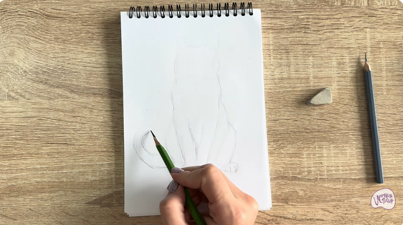 Рисуем Кот породы Шартрез