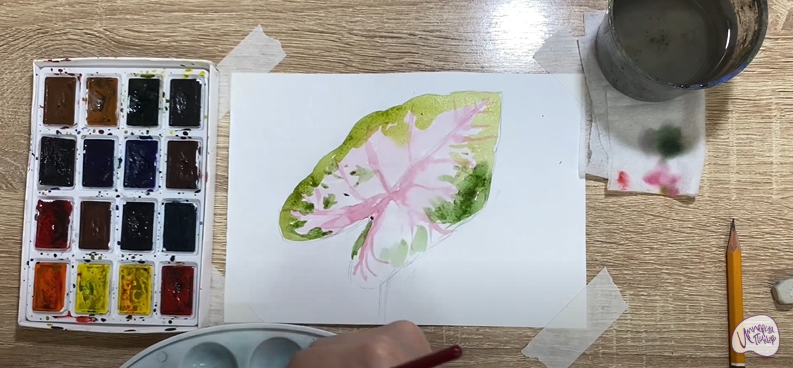 Рисуем Лист каладиума