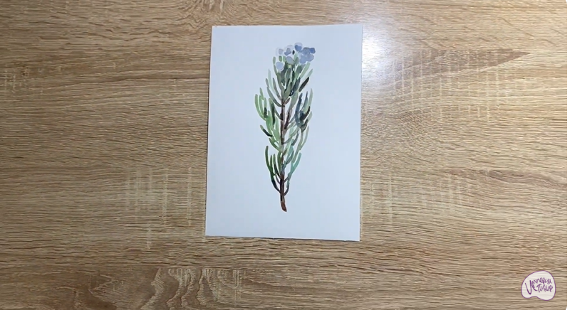 Рисуем Цветок "Бруния"