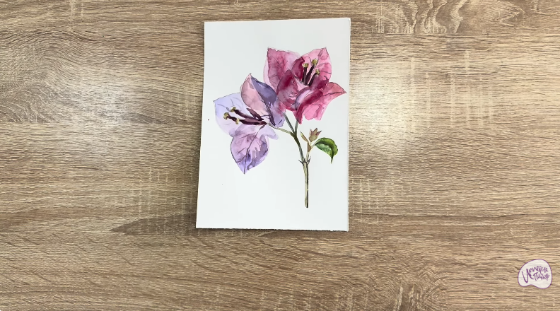 Рисуем Бугенвиллея