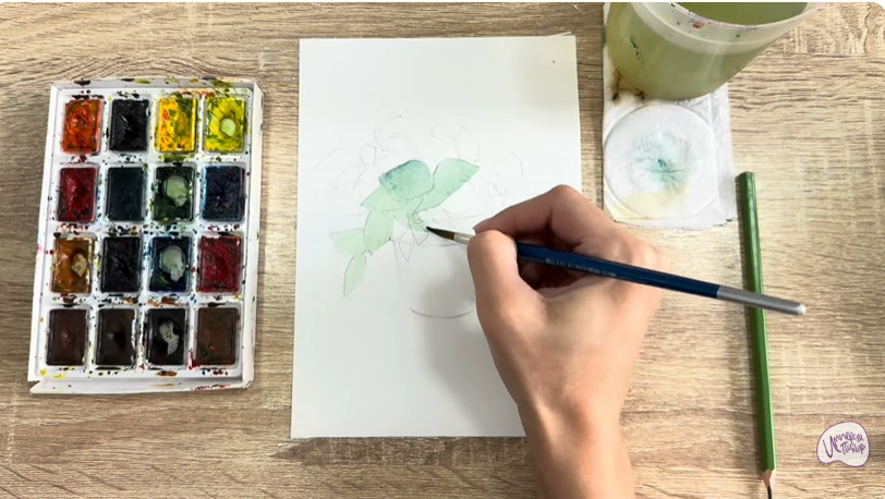 Рисуем Традесканция