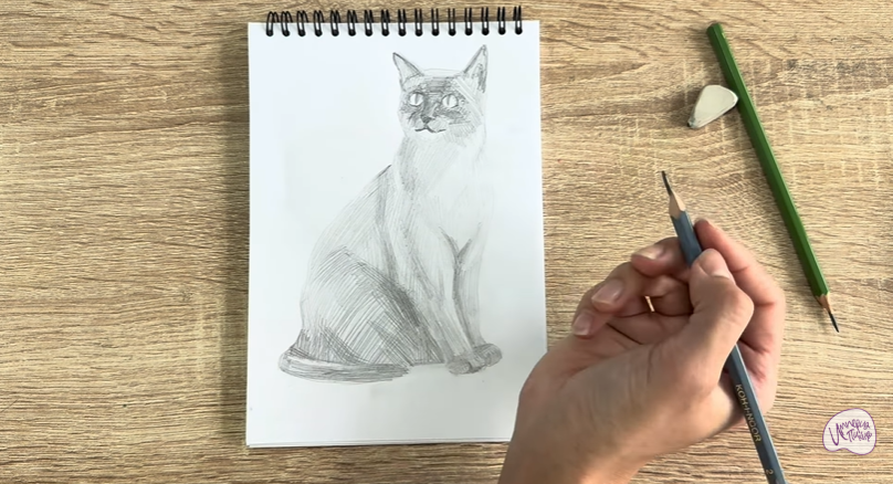 Рисуем Бурманский кот