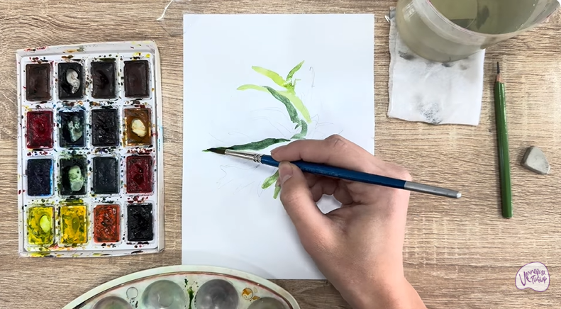 Рисуем Платицериум в горшке