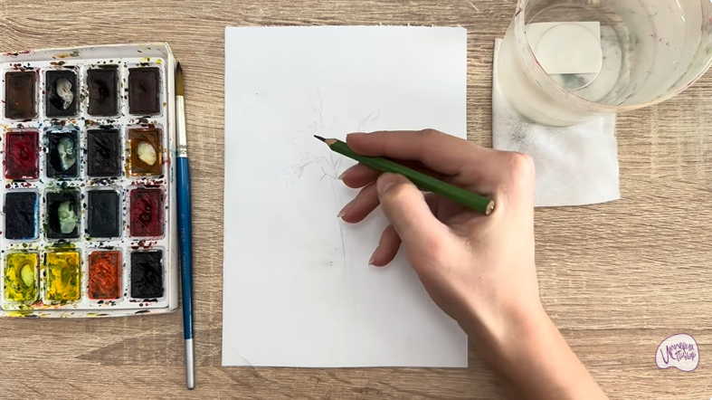 Рисуем Ясколка длинноволосая